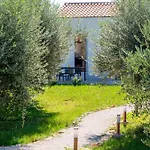 Pool House Renata