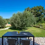 Pool House Renata Medulin
